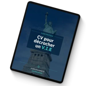 Pack « Décroche ton VIE » – Les 3 ebooks pour réussir à décrocher ton V.I.E