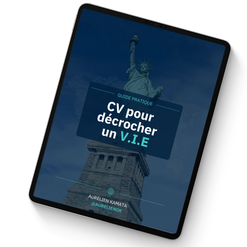 Pack "Décroche ton VIE" – Les 3 ebooks pour réussir à décrocher ton V.I.E – Image 2
