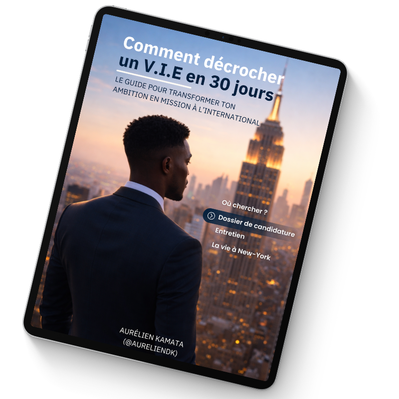 Pack "Décroche ton VIE" – Les 3 ebooks pour réussir à décrocher ton V.I.E – Image 4