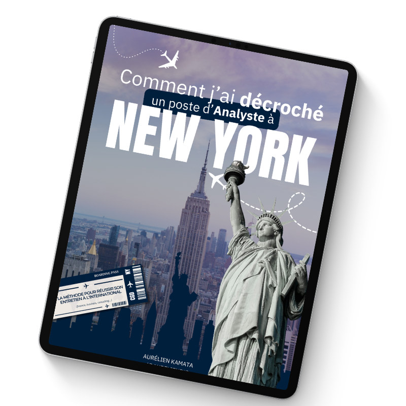 Pack "Décroche ton VIE" – Les 3 ebooks pour réussir à décrocher ton V.I.E – Image 3