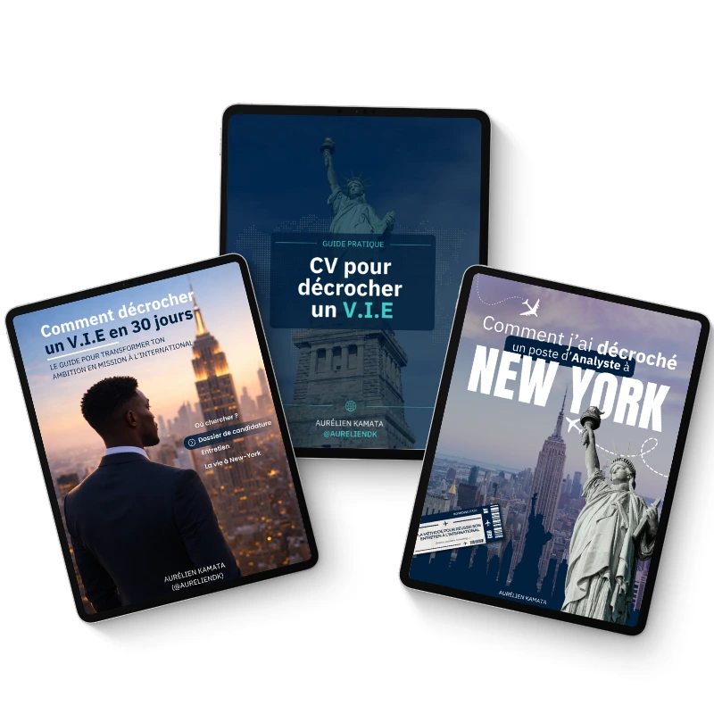 Pack "Décroche ton VIE" – Les 3 ebooks pour réussir à décrocher ton V.I.E